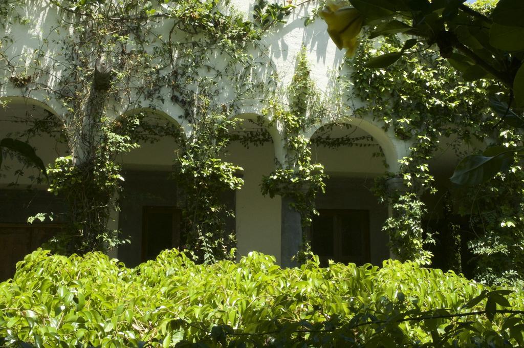 Casa Mision De San Miguel Hotel San Miguel de Allende Bagian luar foto